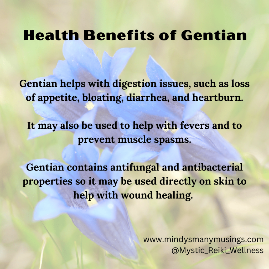 Health Benefits of Gentian * Mystic Reiki Wellness